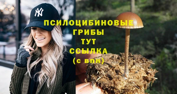 гидра Алексин