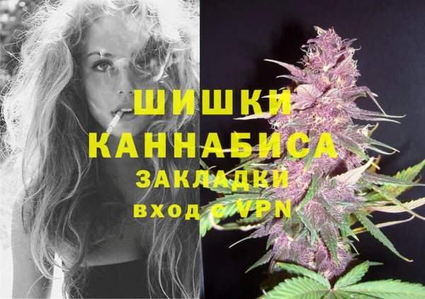 крисы Нижневартовск