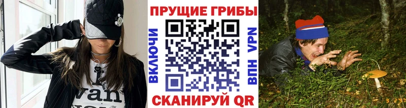 omg ссылки  Красноярск  Галлюциногенные грибы Psilocybine cubensis 